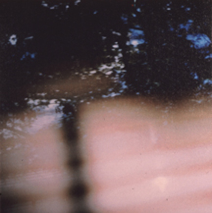 Sentimental Landscape