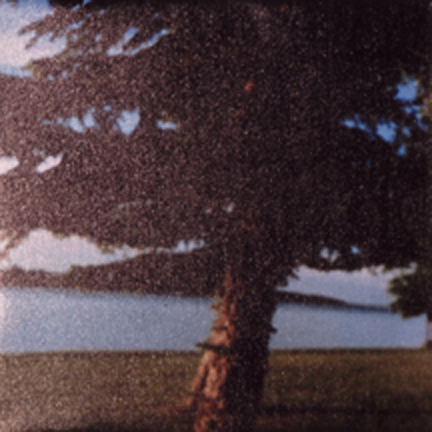 Sentimental Landscape